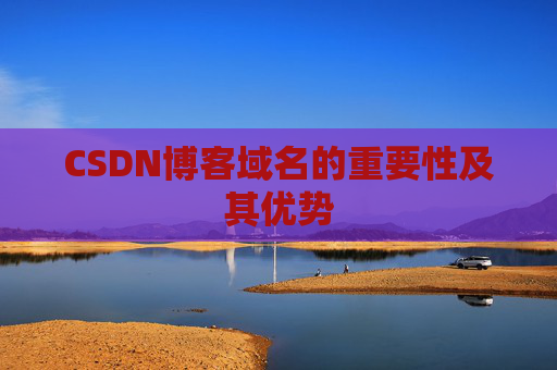 CSDN博客域名的重要性及其优势